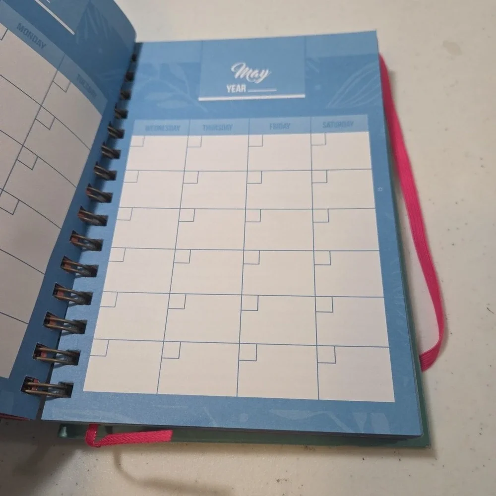 Budget Planner & Monthly Bill Organizer Book Non-Dated Budget Book